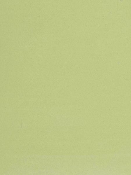 1143 зеленые саванны глянец (Lamicolor) 600*3000*38 мм