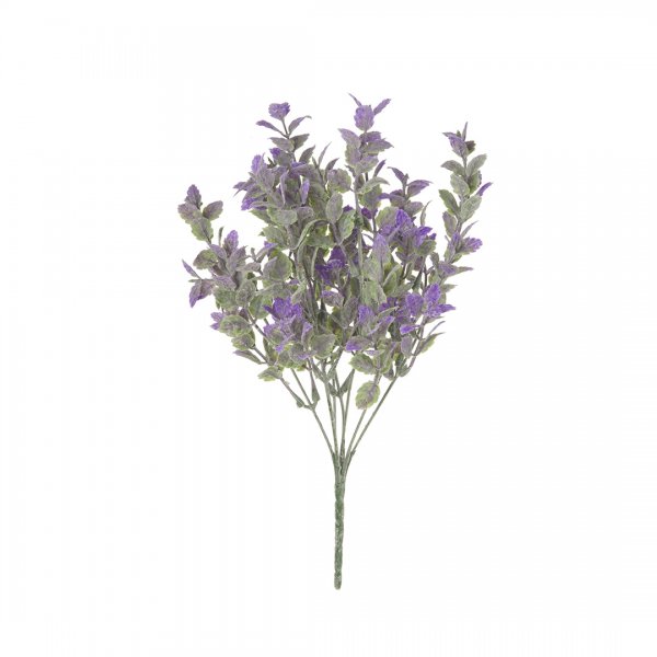 Мелкоцвет, В300, фиолетовый