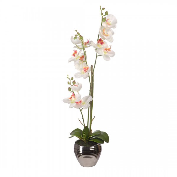 Орхидеи в керамической вазе, Д120 Ш120 В620, белый