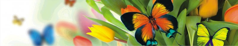 МАТ СП-03 Бабочки на тюльпанах 600*2800-6мм