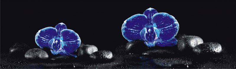 МАТ СП-56 Орхидеи синие 600*2000*6мм