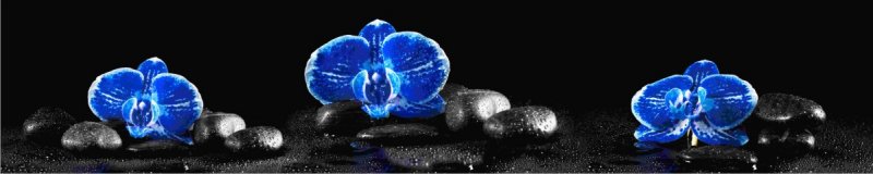 МАТ СП-56 Орхидеи синии 600*2800-6мм